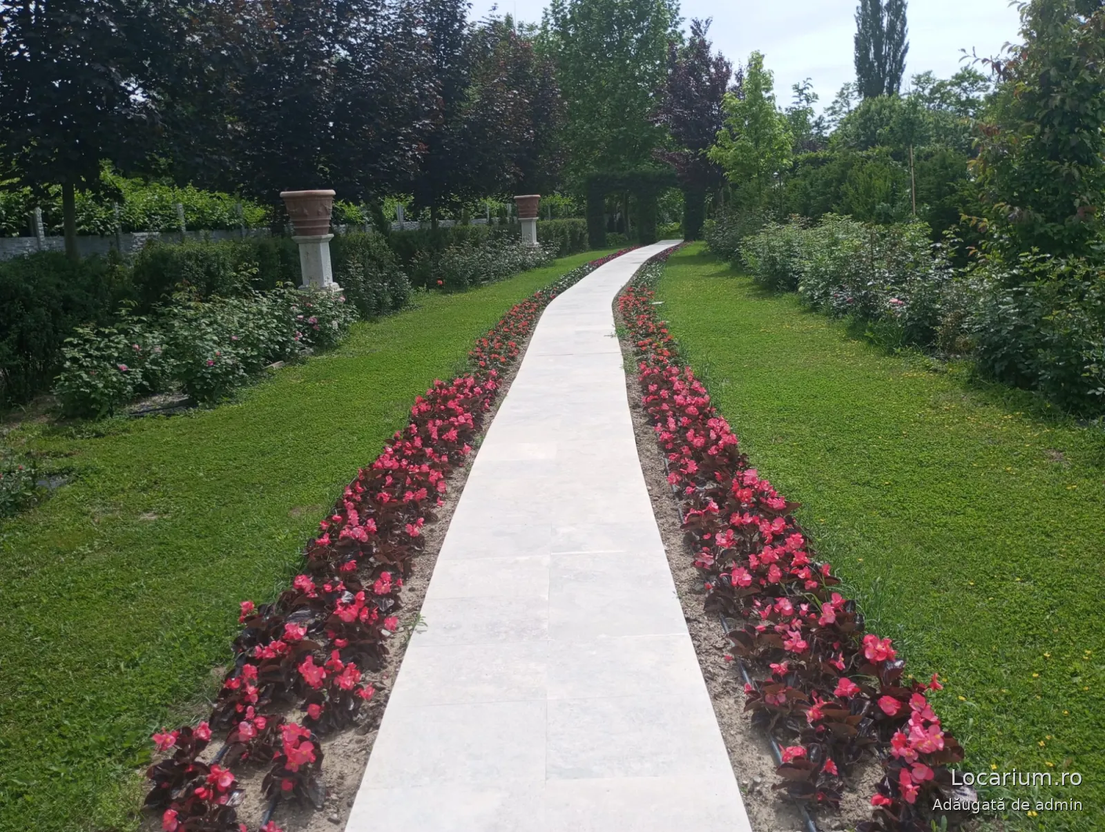 I Giardini di Zoe, Gradinile Banpotoc