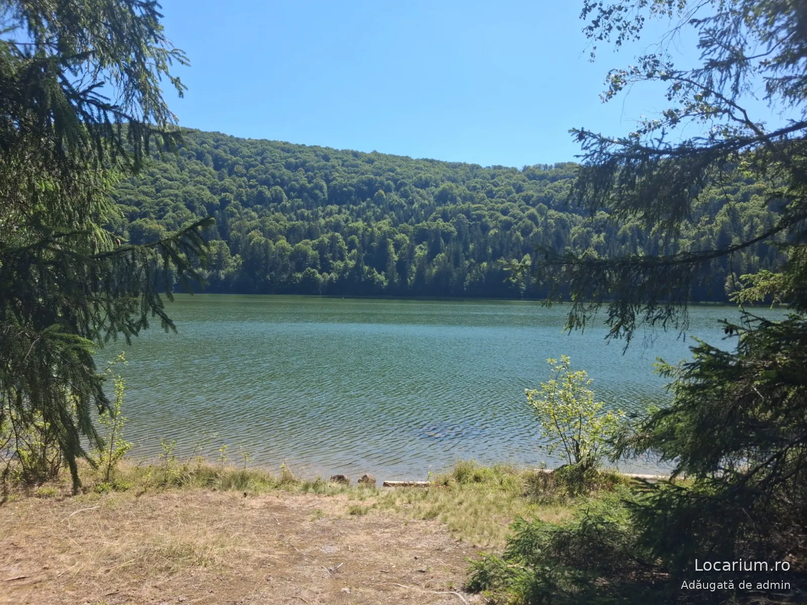 Lacul Sfânta Ana