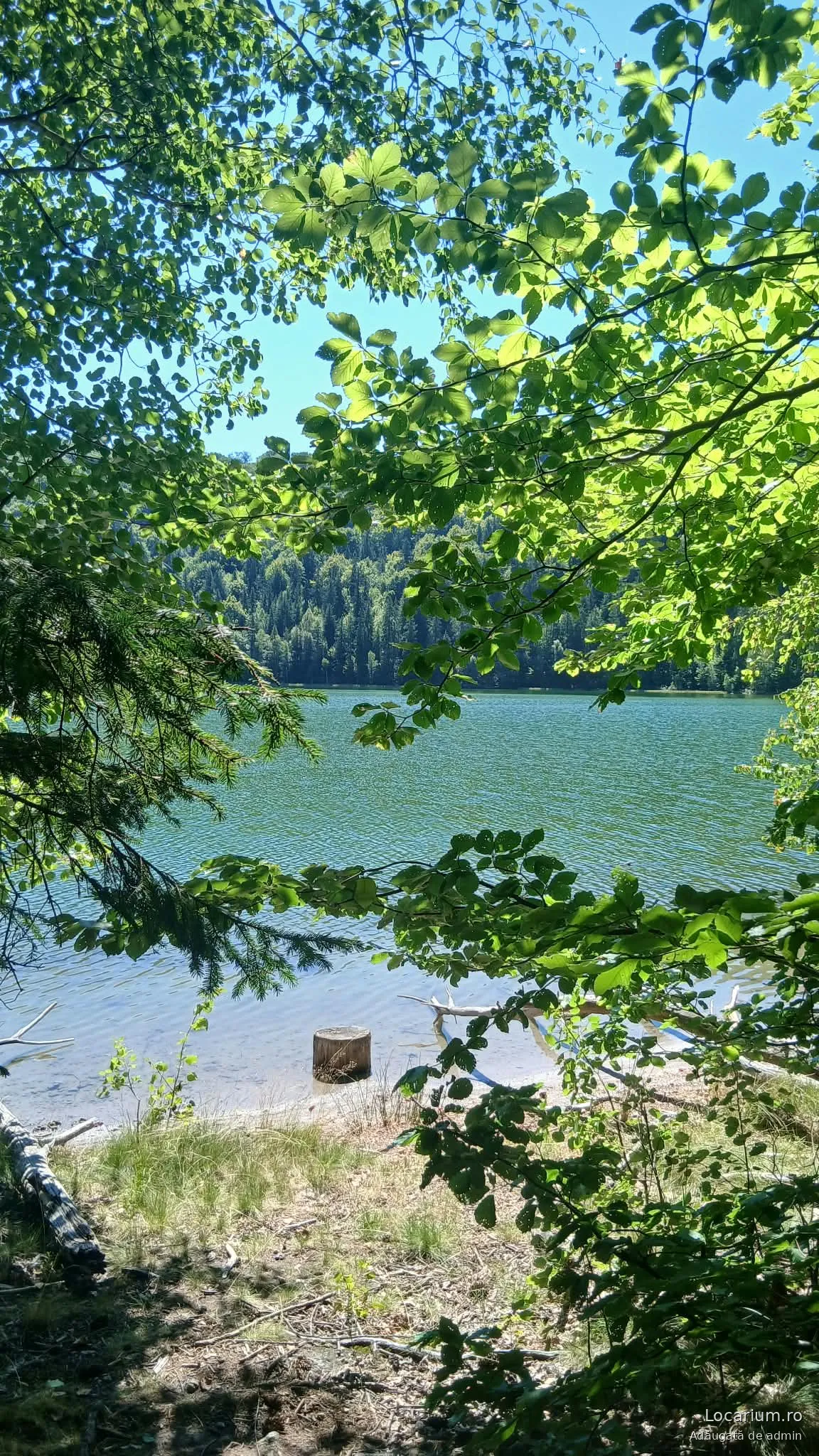 Lacul Sfânta Ana