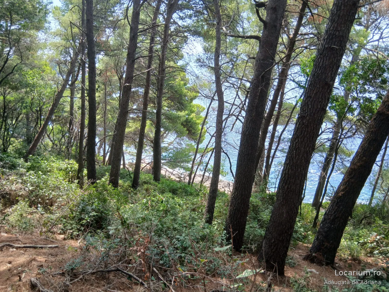 Lokrum