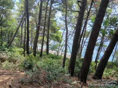 Lokrum